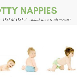 Birth to Potty Nappies - What does that mean?
