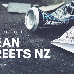 Guest Blog Post: Clean Streets NZ with Alison Pharaoh